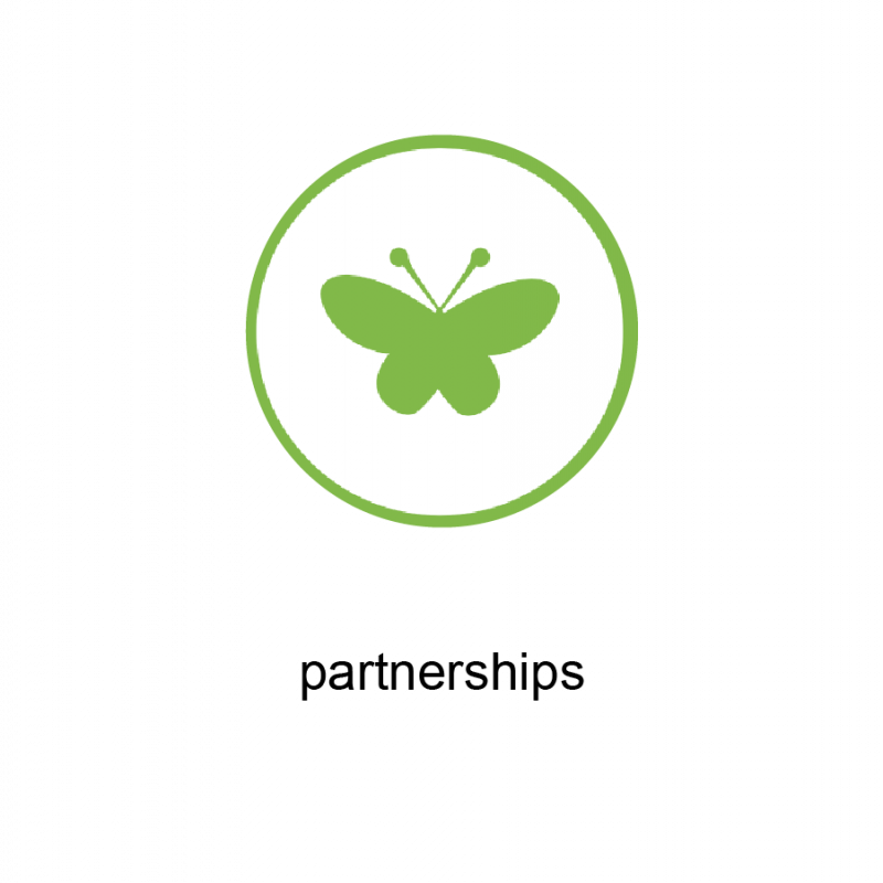 1 Partnerships