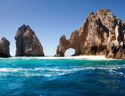 Mannington Los Cabos Trip