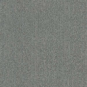 Pinstripe - 877 021 - Silver Coin