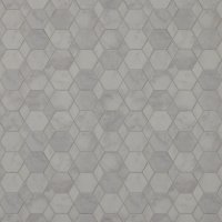 15aOceanaSandDollar130440