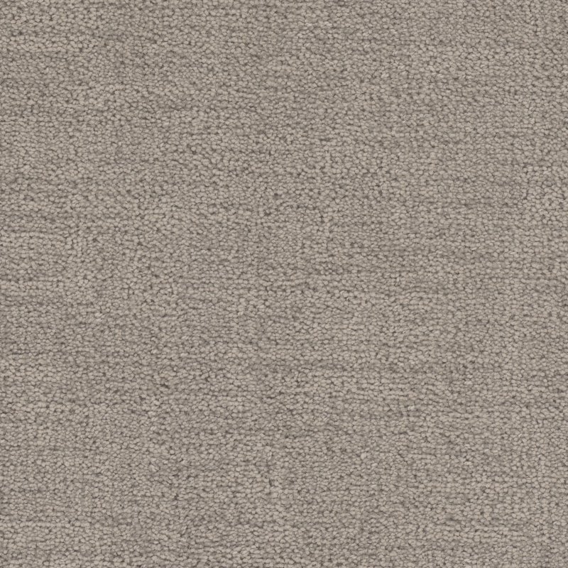 1904 Immersed