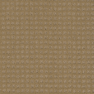 328 Nori Beige