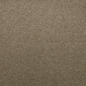 50339 Canvas 3