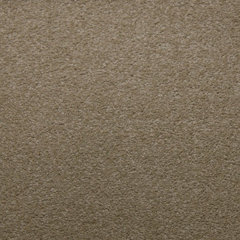 50339 Canvas 3