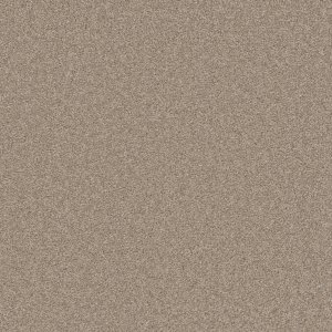 734 Backdrop