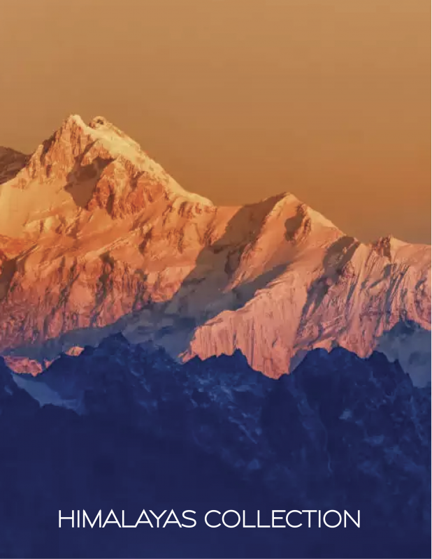 LV HImalayas