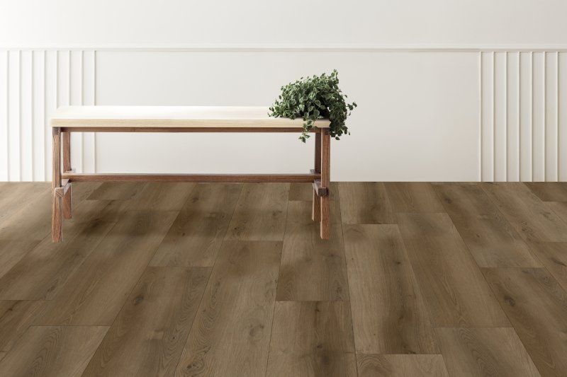 Plant on a wooden table in living room mockup