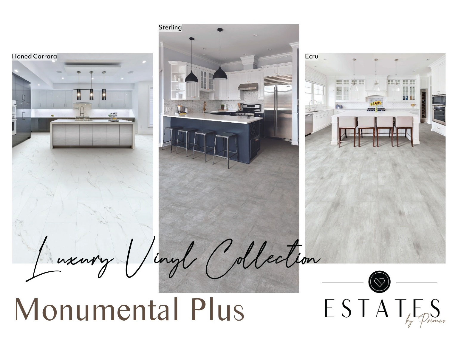 MONUMENTAL PLUS_main